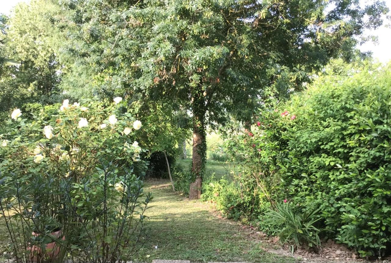 Le Gite De Gascogne Lectoure Ngoại thất bức ảnh